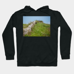 Wembury Dry Stone Wall Hoodie